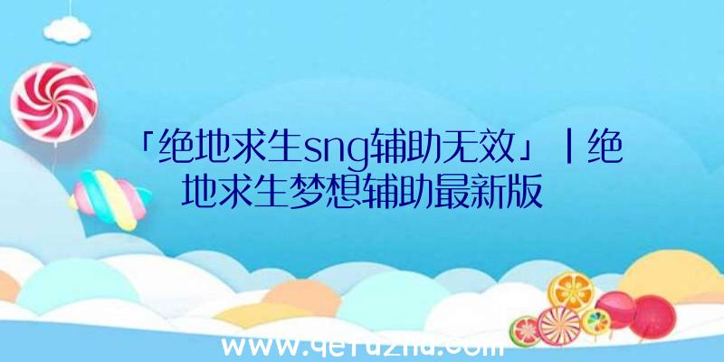 「绝地求生sng辅助无效」|绝地求生梦想辅助最新版